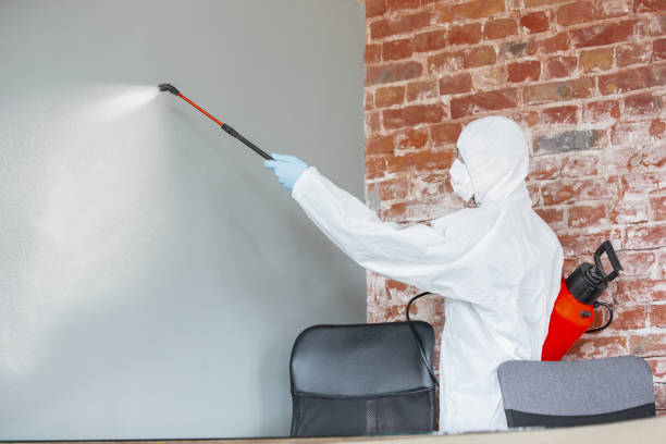 Best Comprehensive Air Testing for Mold Contaminants  in Ellsworth, KS