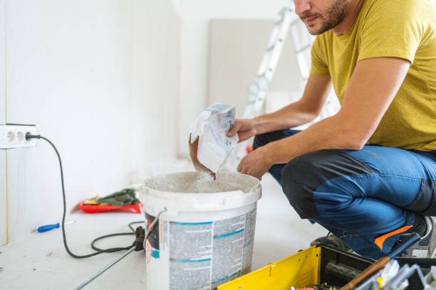 Best Mold Damage Restoration  in Ellsworth, KS