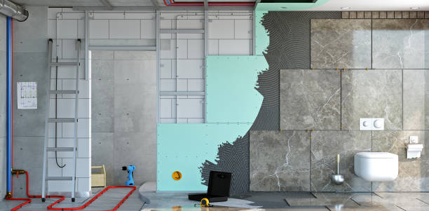Best Real Estate Mold Inspection  in Ellsworth, KS