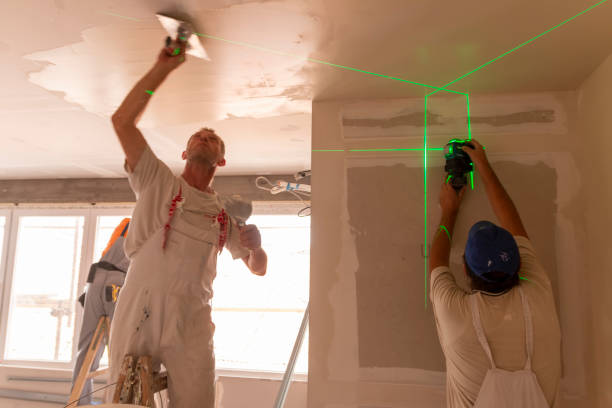 Best Asbestos and Lead Testing During Mold Inspection  in Ellsworth, KS