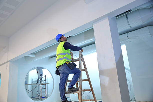 Best Environmental Consulting for Mold Prevention  in Ellsworth, KS